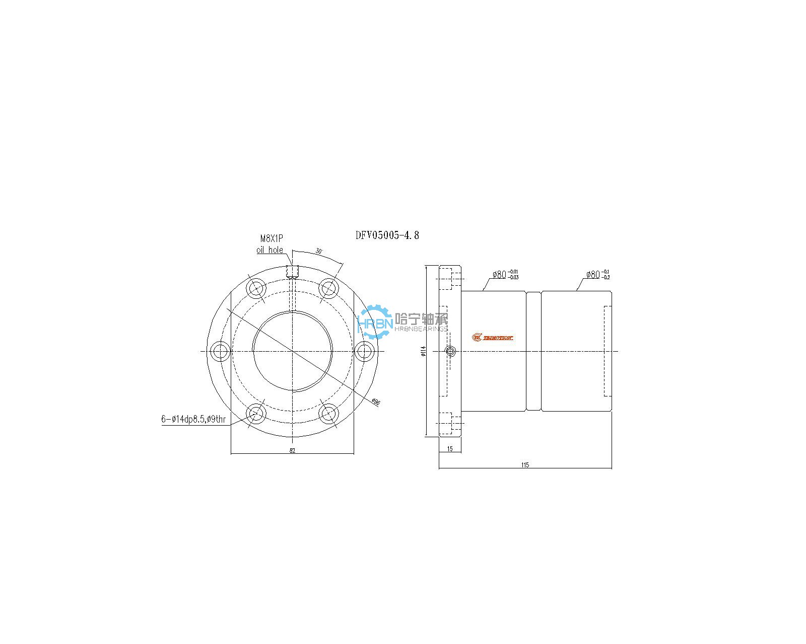 dfv05005-4.8